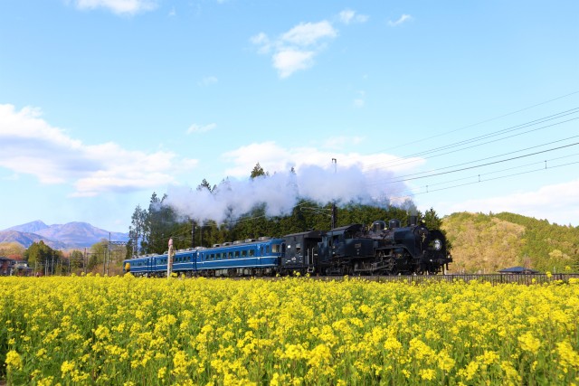 大人の女子旅！SL大樹で楽しむ昭和レトロと日光・鬼怒川・今市のグルメ＆癒し